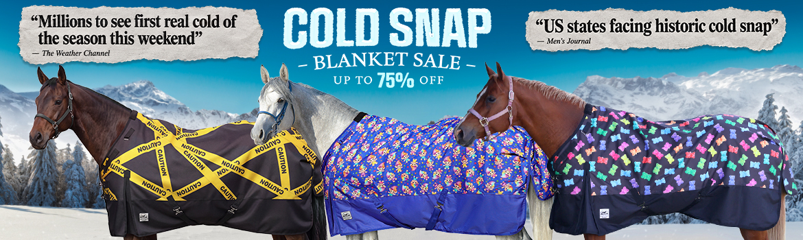Cold Snap Blanket Sale - up to 75% Off